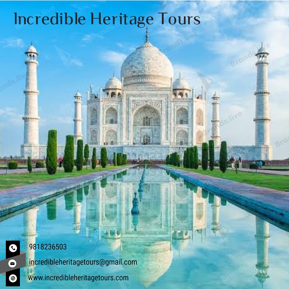 You are currently viewing Golden Triangle Tours Packages