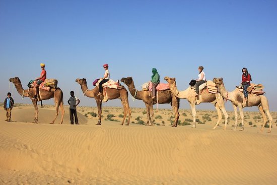 Read more about the article Experience the Magic of a Camel Safari in the Thar Desert, Rajasthan