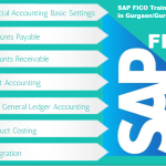 SAP-Fico-India.png