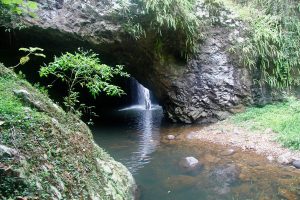 Read more about the article Immerse Yourself in the Enchanting Beauty of Natural Bridge, Springbrook National Park