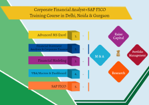 Read more about the article Financial Modelling Course in Delhi.110016. Best Online Live Financial Analyst Training in Ghaziabad by IIT Faculty , [ 100% Job in MNC] July Offer’24, Learn Business Analyst Skills, Top Training Center in Delhi NCR – SLA Consultants India,